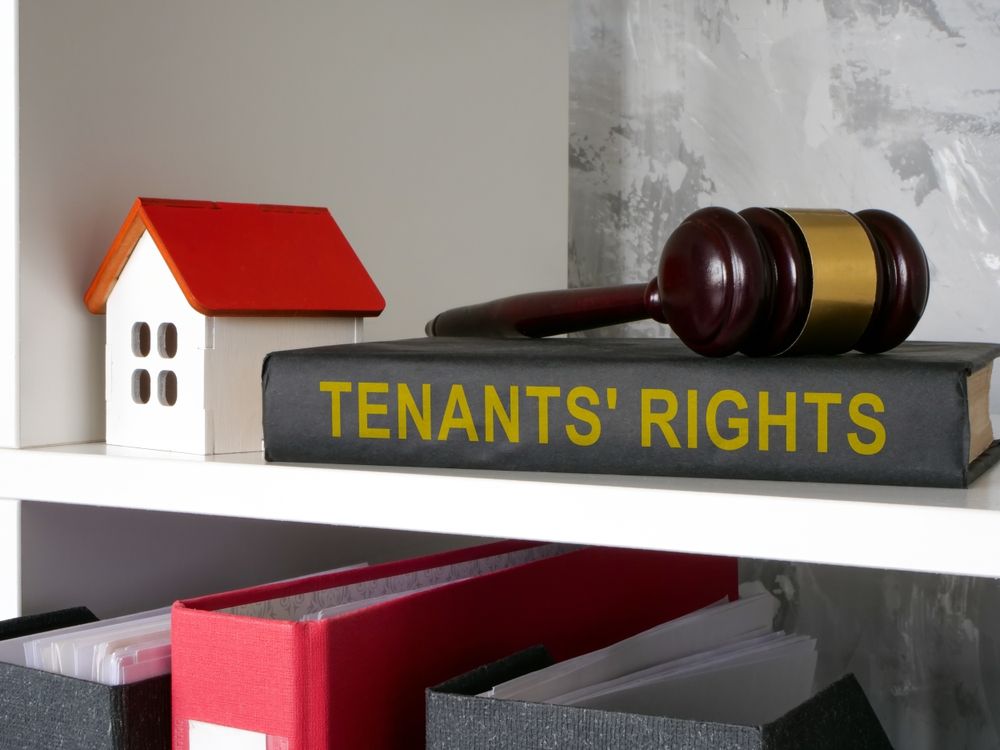 Understanding the Role of a Tenants Rights Lawyer